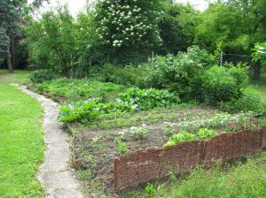 Veronikas Gemüsegarten