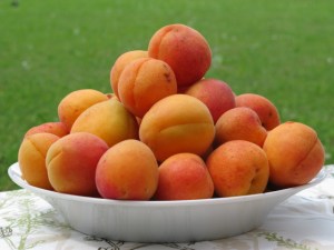 Marillen für Marillensaft