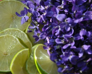 Veilchen und Limetten