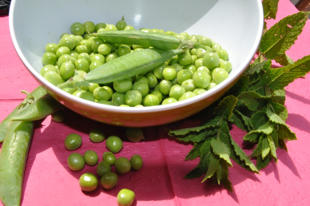 frische Erbsen und Minze
