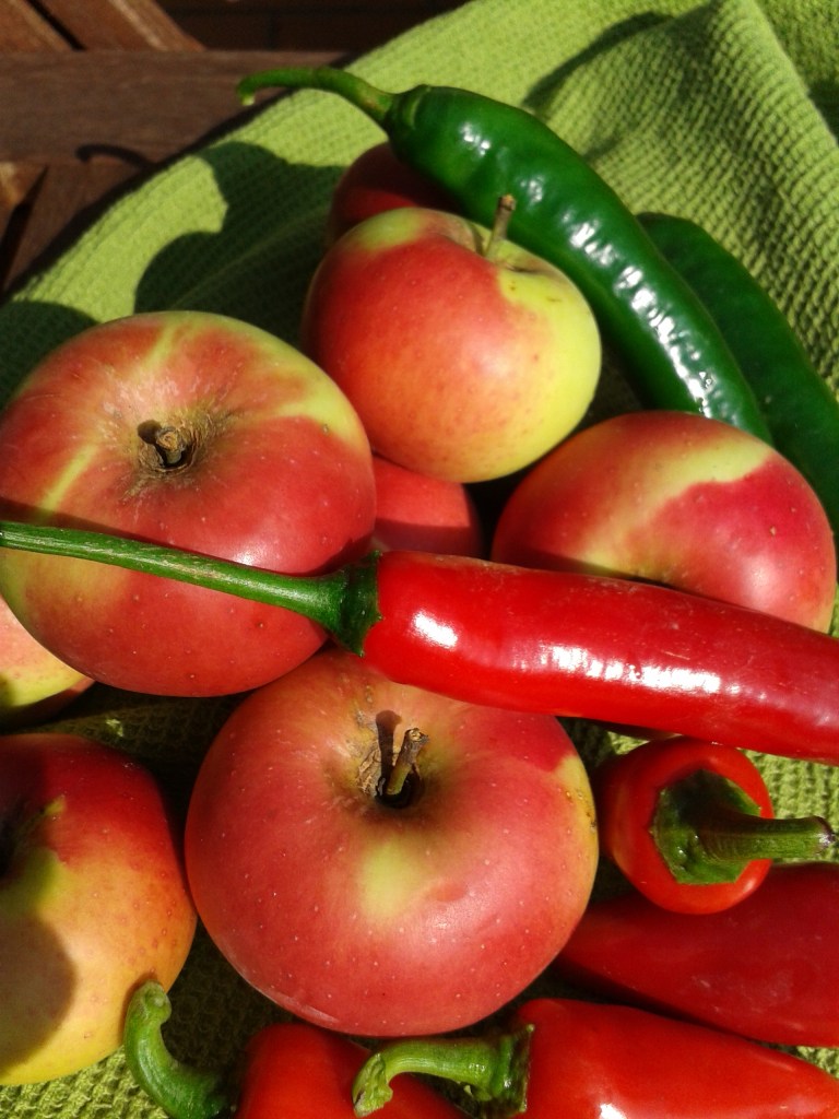 Apfel-Chili Chutney