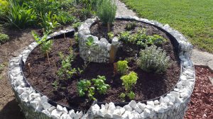 Kräuterspirale bepflanz