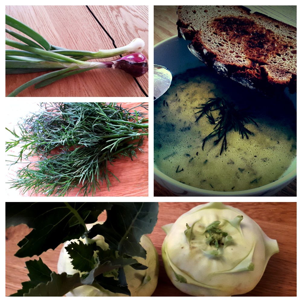 Kohlrabicremesuppe mit Dille und Jungwzwiebel