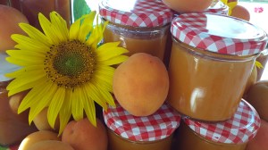 Marillenmarmelade einkochen