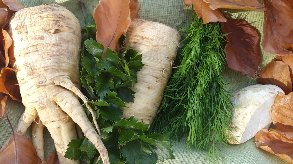 Zutaten Pastinaken Sellerie Cremesuppe