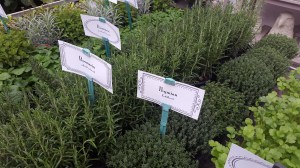 Mediterrane Kräuter