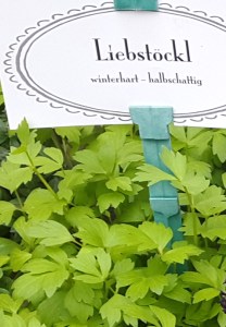 Liebstöckl