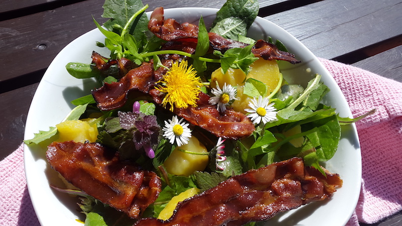 Erdäpfel Löwenzahn Salat mit Speck und Gänseblümchen