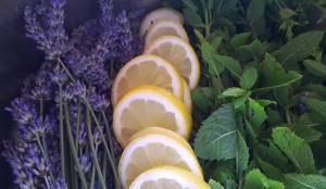 Zutaten Lavendel Minze Sirup