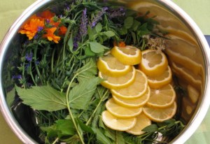 Kräuter für Kräutersirup - Kräuterlimonade