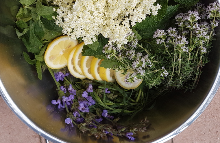 Kräuersirup Kräuter im Topf