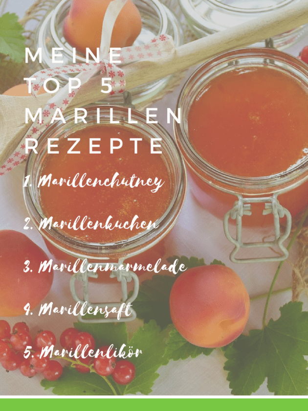 meine top 5 Marillen Rezepte